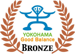 YOKOHAMA Good Balance BRONZE